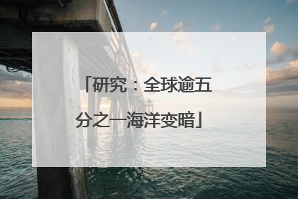 研究：全球逾五分之一海洋变暗