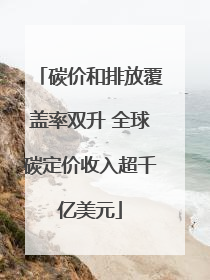 碳价和排放覆盖率双升 全球碳定价收入超千亿美元