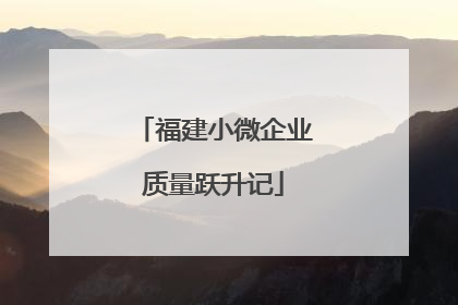 福建小微企业质量跃升记