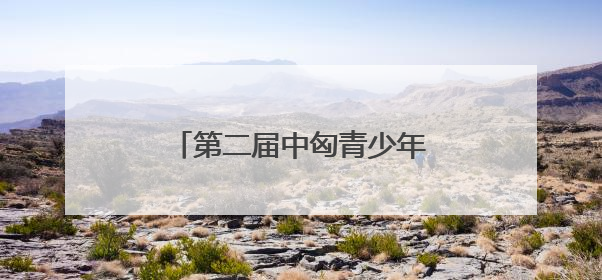 第二届中匈青少年国际魔方公开赛郑州分站赛圆满落幕