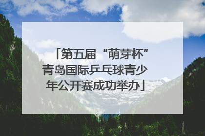 第五届“萌芽杯”青岛国际乒乓球青少年公开赛成功举办