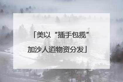 美以“插手包揽”加沙人道物资分发
