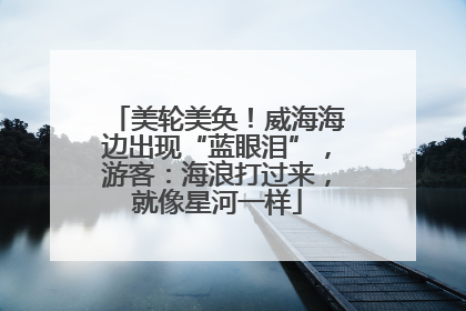 美轮美奂！威海海边出现“蓝眼泪”，游客：海浪打过来，就像星河一样