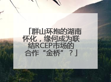 群山环抱的湖南怀化，缘何成为联结RCEP市场的合作“金桥”？