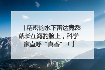 精密的水下雷达竟然就长在海豹脸上，科学家直呼“真香”！