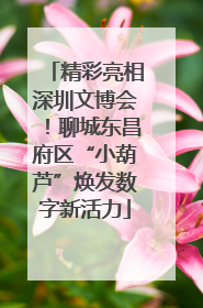精彩亮相深圳文博会！聊城东昌府区“小葫芦”焕发数字新活力