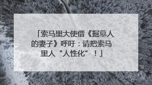 索马里大使借《掘墓人的妻子》呼吁：请把索马里人“人性化”！