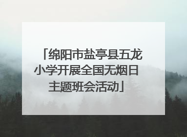 绵阳市盐亭县五龙小学开展全国无烟日主题班会活动