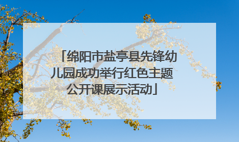 绵阳市盐亭县先锋幼儿园成功举行红色主题公开课展示活动