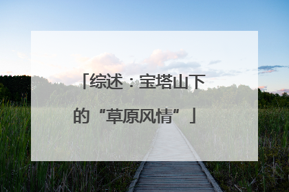 综述：宝塔山下的“草原风情”