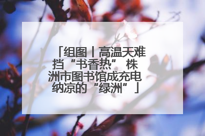 组图丨高温天难挡“书香热” 株洲市图书馆成充电纳凉的“绿洲”