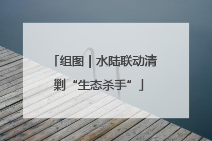 组图｜水陆联动清剿“生态杀手”