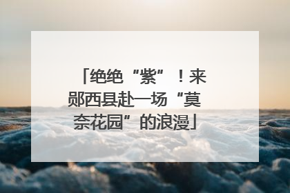 绝绝“紫”！来郧西县赴一场“莫奈花园”的浪漫