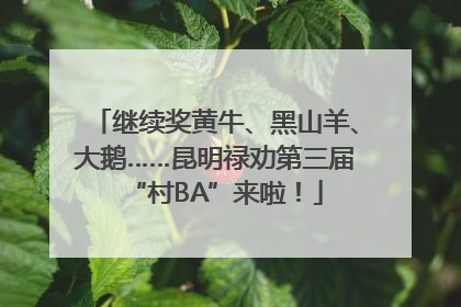继续奖黄牛、黑山羊、大鹅……昆明禄劝第三届“村BA”来啦！