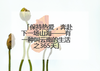 保持热爱，奔赴下一场山海——有一种叫云南的生活之365天