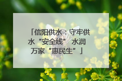 信阳供水：守牢供水“安全线” 水润万家“惠民生”