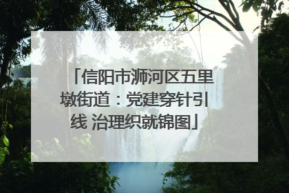 信阳市浉河区五里墩街道：党建穿针引线 治理织就锦图