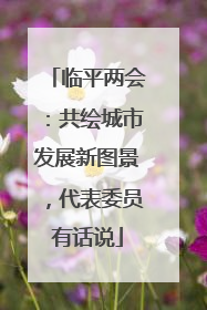 临平两会：共绘城市发展新图景，代表委员有话说