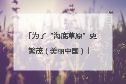 为了“海底草原”更繁茂（美丽中国）