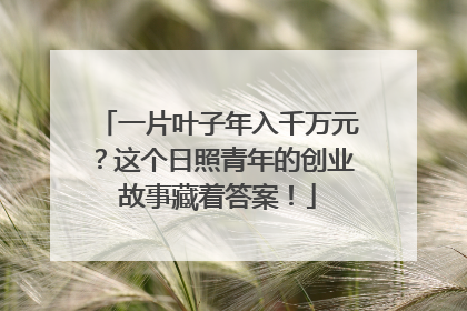 一片叶子年入千万元？这个日照青年的创业故事藏着答案！