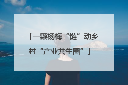 一颗杨梅“链”动乡村“产业共生圈”