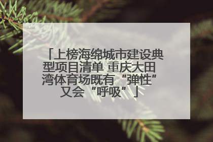 上榜海绵城市建设典型项目清单 重庆大田湾体育场既有“弹性”又会“呼吸”
