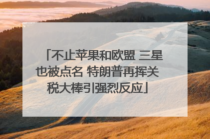 不止苹果和欧盟 三星也被点名 特朗普再挥关税大棒引强烈反应