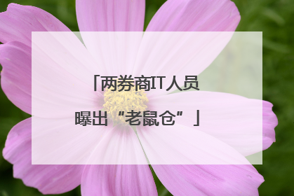 两券商IT人员曝出“老鼠仓”