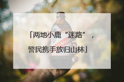 两地小鹿“迷路”，警民携手放归山林
