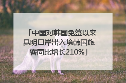 中国对韩国免签以来昆明口岸出入境韩国旅客同比增长210%