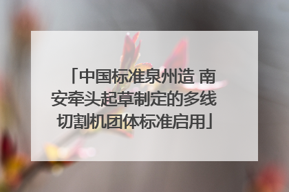 中国标准泉州造 南安牵头起草制定的多线切割机团体标准启用