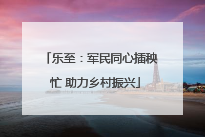 乐至：军民同心插秧忙 助力乡村振兴