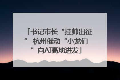 书记市长“挂帅出征” 杭州催动“小龙们”向AI高地进发