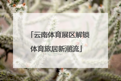 云南体育展区解锁体育旅居新潮流