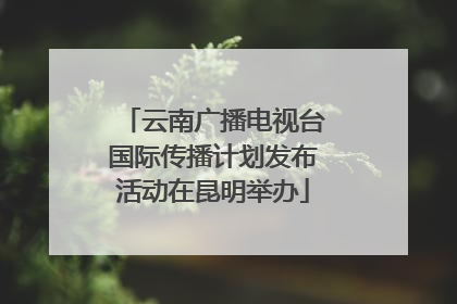 云南广播电视台国际传播计划发布活动在昆明举办