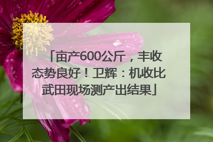 亩产600公斤，丰收态势良好！卫辉：机收比武田现场测产出结果