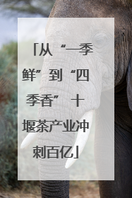 从“一季鲜”到“四季香” 十堰茶产业冲刺百亿