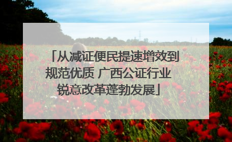 从减证便民提速增效到规范优质 广西公证行业锐意改革蓬勃发展