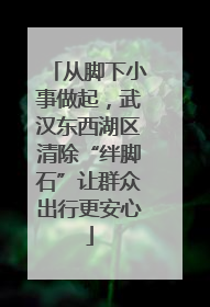 从脚下小事做起，武汉东西湖区清除“绊脚石”让群众出行更安心