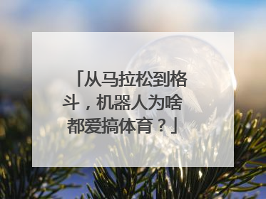 从马拉松到格斗，机器人为啥都爱搞体育？