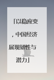 以稳应变，中国经济展现韧性与潜力