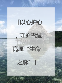 以心护心，守护雪域高原“生命之脉”