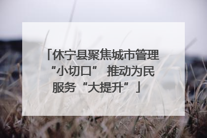 休宁县聚焦城市管理“小切口” 推动为民服务“大提升”