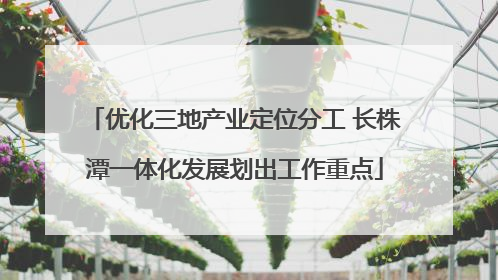 优化三地产业定位分工 长株潭一体化发展划出工作重点