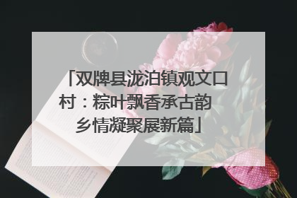 双牌县泷泊镇观文口村：粽叶飘香承古韵 乡情凝聚展新篇
