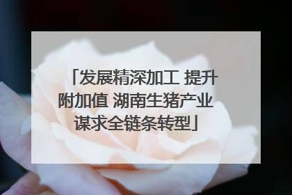 发展精深加工 提升附加值 湖南生猪产业谋求全链条转型