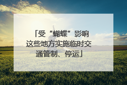 受“蝴蝶”影响 这些地方实施临时交通管制、停运