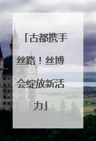 古都携手丝路！丝博会绽放新活力