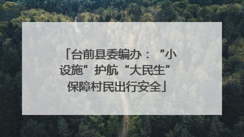 台前县委编办：“小设施”护航“大民生” 保障村民出行安全