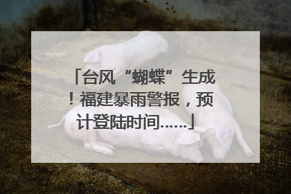台风“蝴蝶”生成！福建暴雨警报，预计登陆时间……